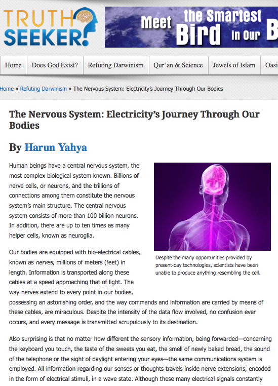 Sinir Sistemi: Elektriğin vücudumuzdaki yolculuğu
